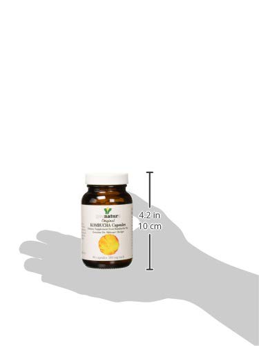 Extrait sec du thé Kombucha original, selon la recette Dr. Sklenar.