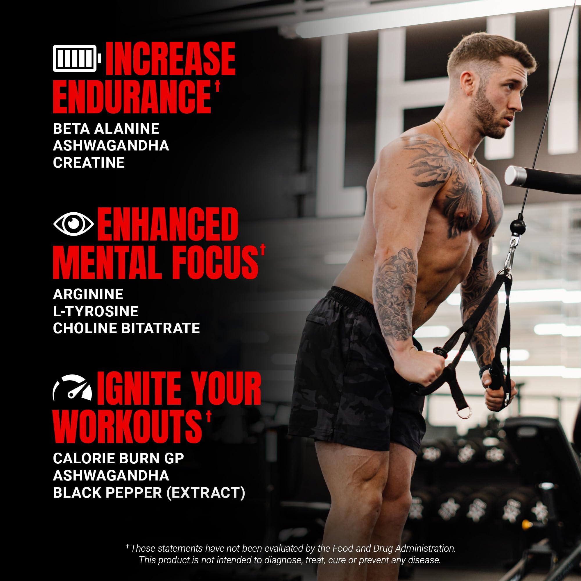 PROSUPPS Dr Jekyll Signature V2 doseur — prise mesurée facilitant l’utilisation quotidienne.