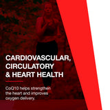 PROTOCOL FOR LIFE BALANCE CoQ10 illustration 90 gélules