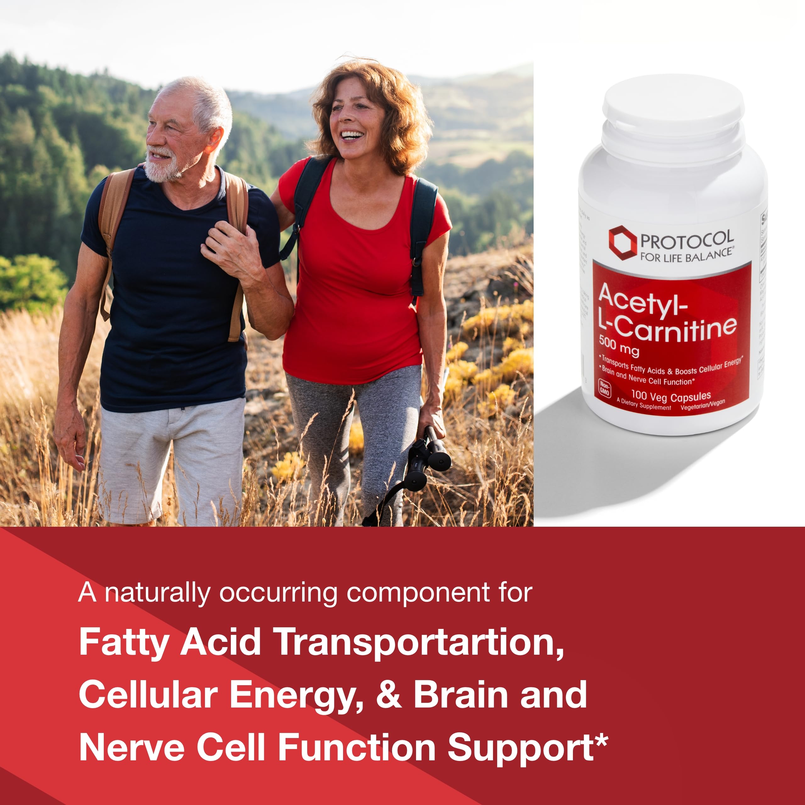 PROTOCOL FOR LIFE BALANCE Acetyl-L-Carnitine 500mg – bouteille prête pour une dose quotidienne