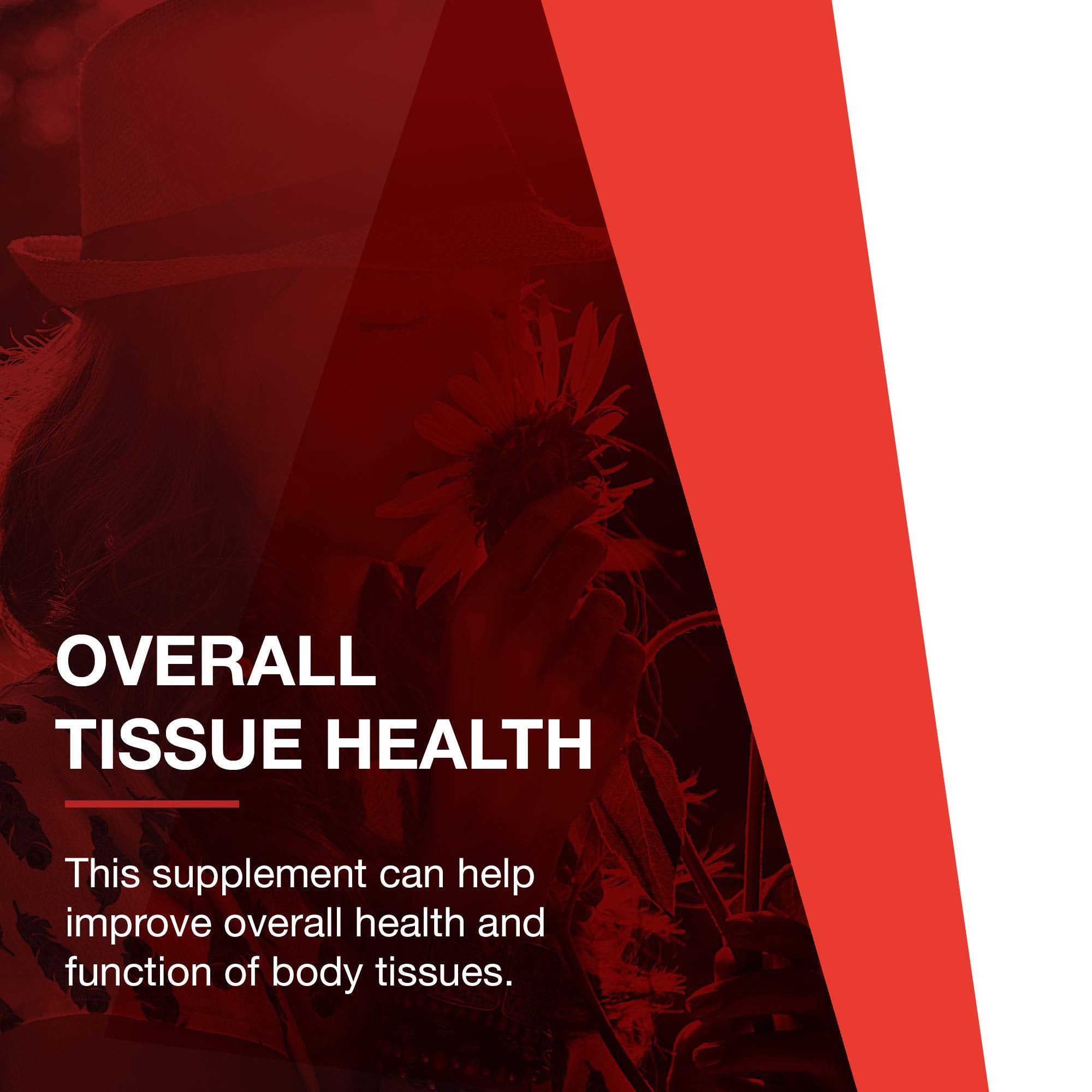 PROTOCOL FOR LIFE BALANCE Acide hyaluronique 100 mg, ingrédients naturels — formule purifiée