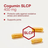 Curcuminoïdes biodisponibles pour Cogumin SLCP, meilleure assimilation.