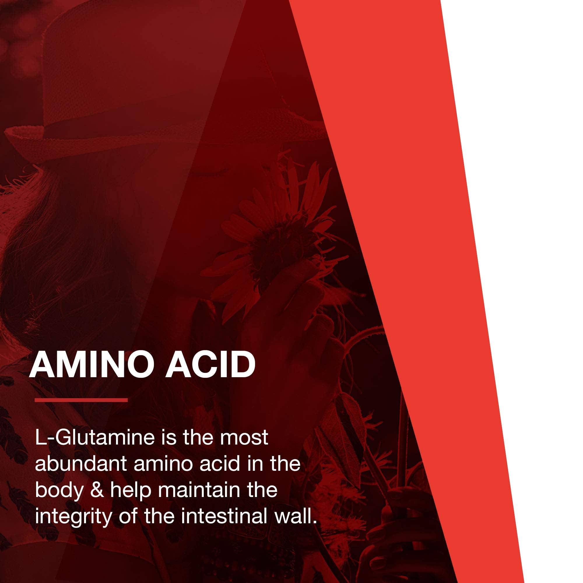 Profil clair de L-Glutamine Protocol For Life Balance dans un bol petit-déjeuner