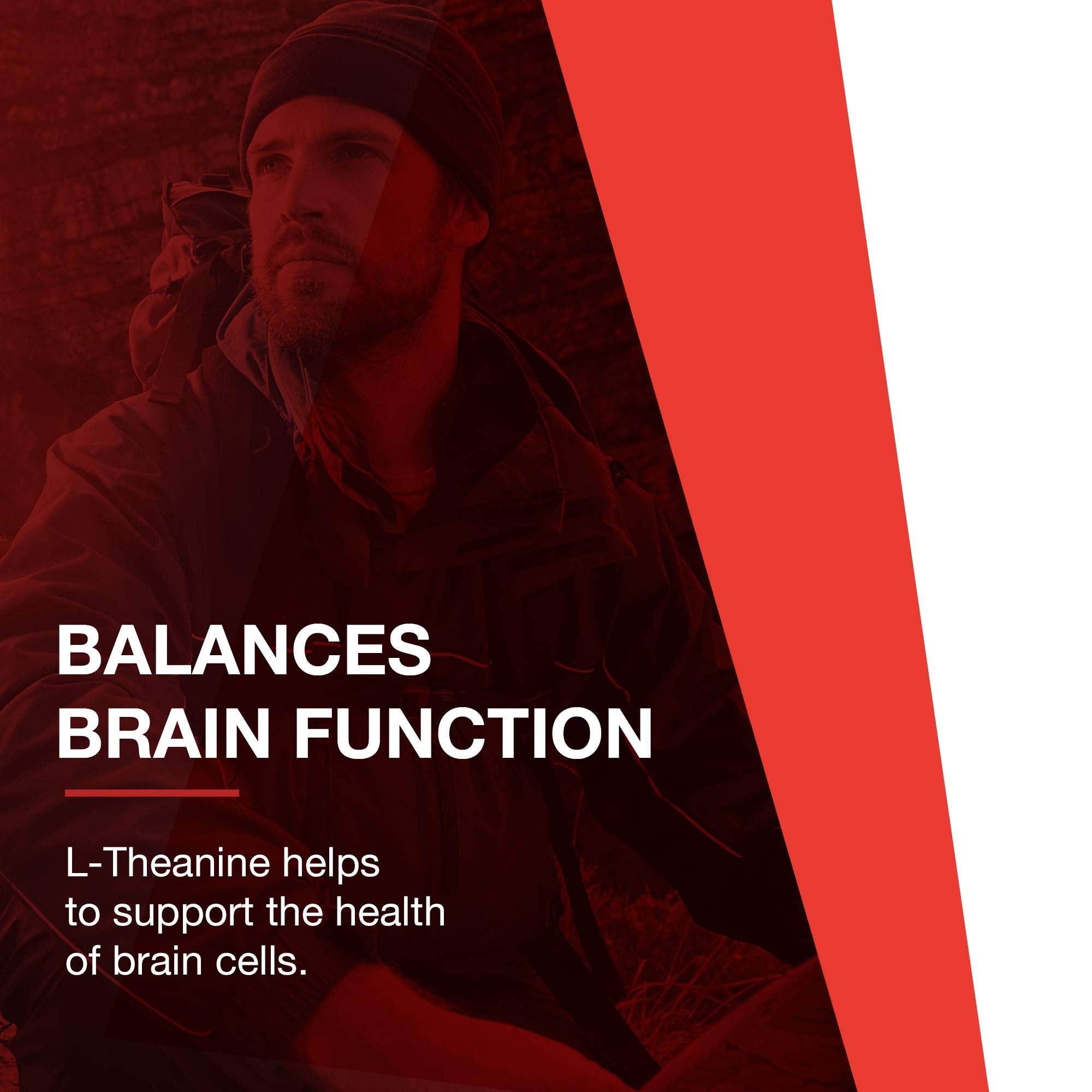 PROTOCOL FOR LIFE BALANCE infographie sur l'étiquette, rappelant le L-théanine et ses usages potentiels.