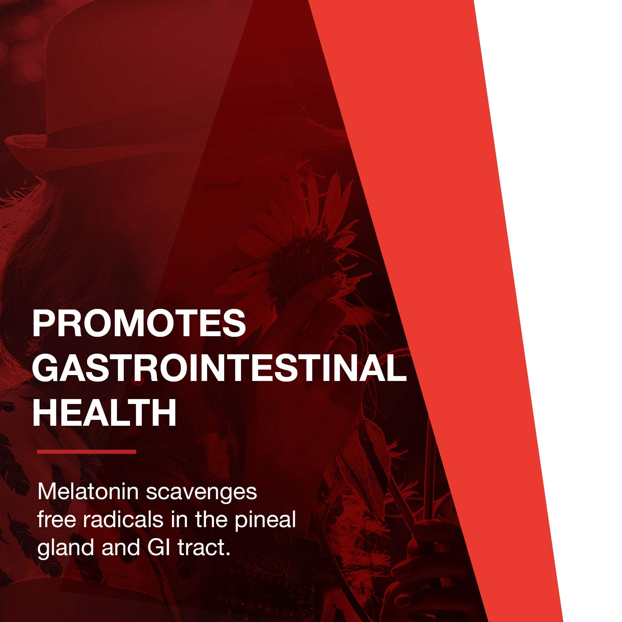 PROTOCOL FOR LIFE BALANCE Mélatonine 3 mg, pastilles aérées, goût neutre et facile à prendre