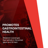 PROTOCOL FOR LIFE BALANCE Mélatonine 3 mg, pastilles aérées, goût neutre et facile à prendre