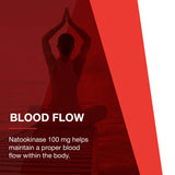 Boîte 60 gélules PROTOCOL FOR LIFE BALANCE Nattokinase, format quotidien.