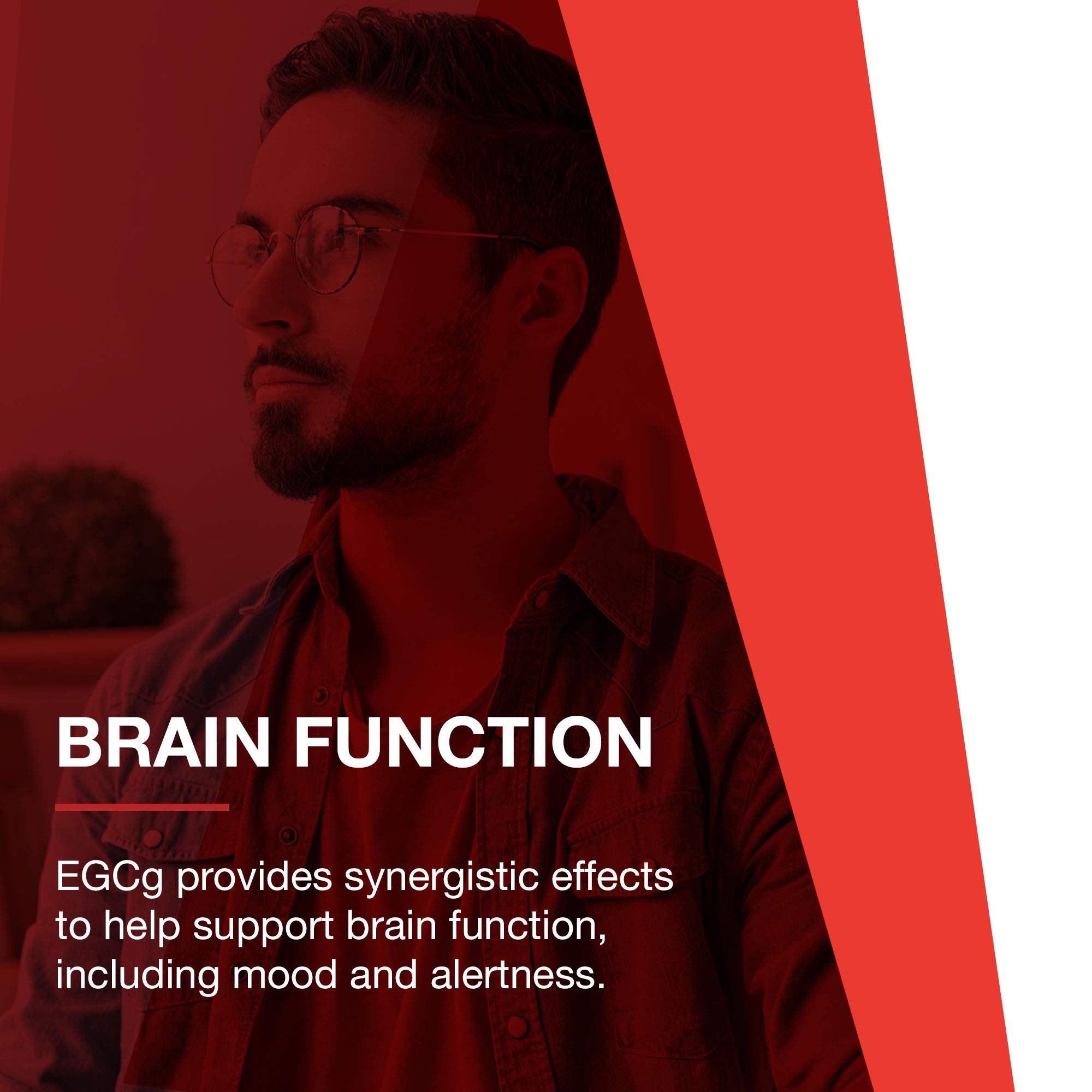 Phytonutriments et polyphénols dans chaque capsule PROTOCOL FOR LIFE BALANCE EGCg