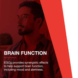 Phytonutriments et polyphénols dans chaque capsule PROTOCOL FOR LIFE BALANCE EGCg