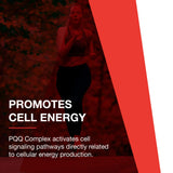 PROTOCOL FOR LIFE BALANCE PQQ Complex - representation-graphique-des-benefices-potentiels.
