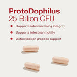 Proto Dophilus: capsule acide-résistante protégeant les probiotiques dans l’estomac