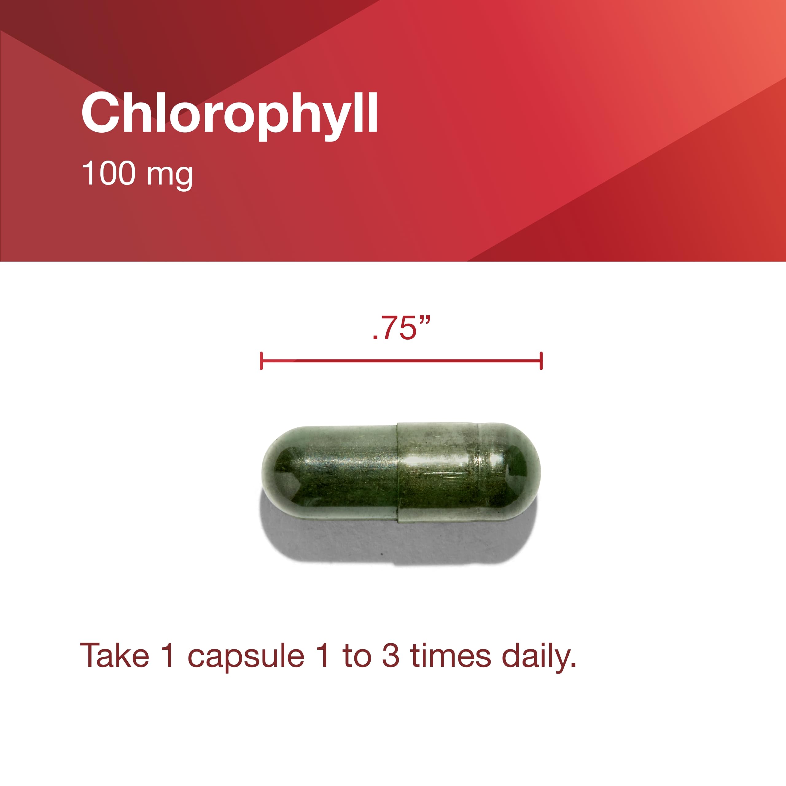 Protocol Chlorophylle – usage pratique selon votre routine quotidienne