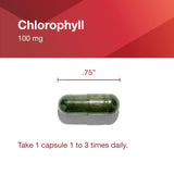 Protocol Chlorophylle – usage pratique selon votre routine quotidienne