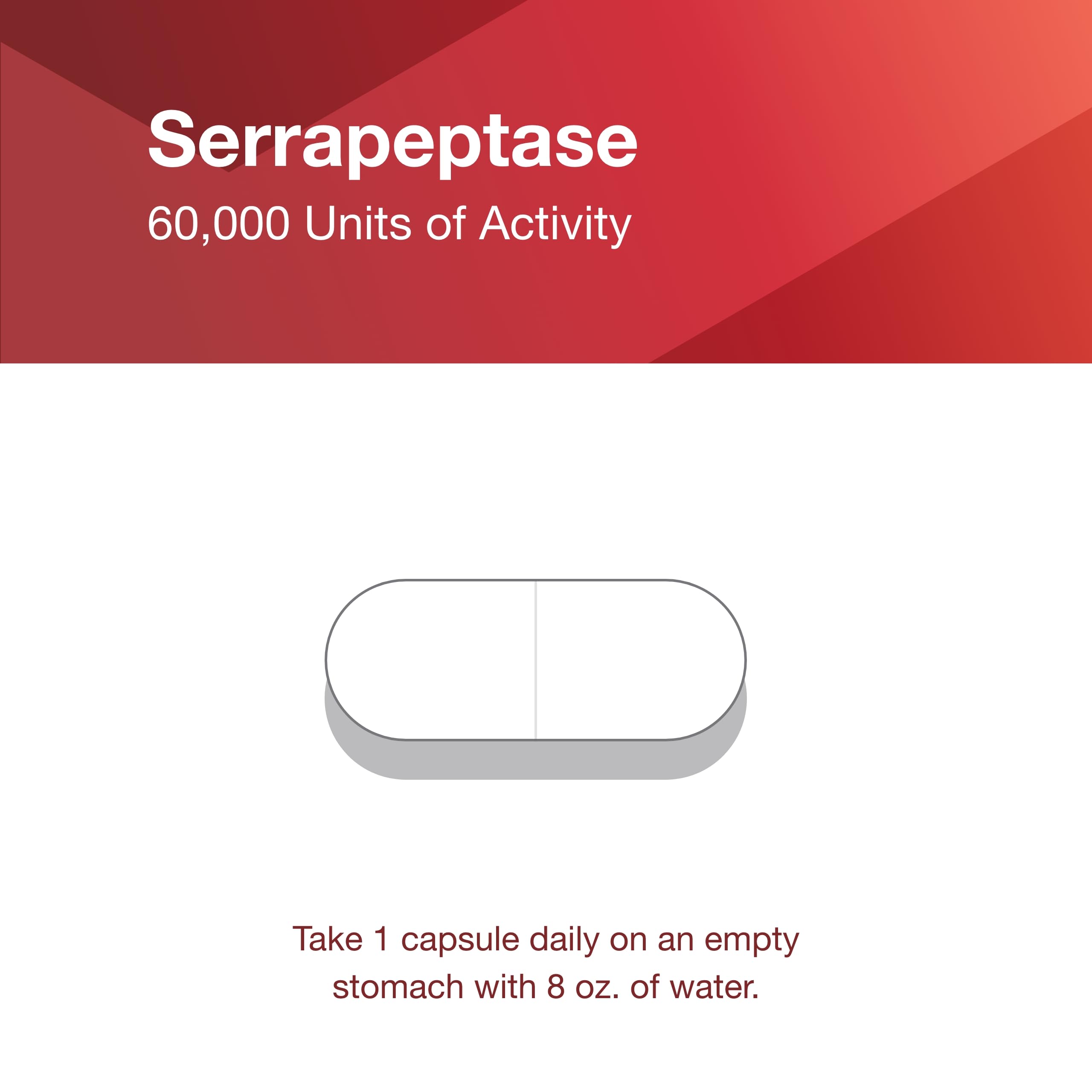 PROTOCOL FOR LIFE BALANCE Serrapeptase – Vue d'ensemble: vision claire d'un complément naturel.