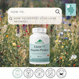 Provita Foie – artichaut et pissenlit pour soutenir la digestion et la détox naturelle.