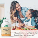 PROVITA Berberine TPGS—absorption élevée pour soutenir l'énergie tout au long de la journée