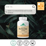 PROVITA Berberine TPGS—capsules veganes pour une routine quotidienne sans allergènes
