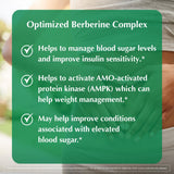PROVITA Berberine TPGS—formule innovante favorisant une absorption optimale