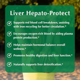 Provita Glutathion et acide alpha-lipoïque – antioxydants hépatiques pour la protection.