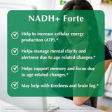 PROVITA NADH+ Forte - Absorption ameliorée: soutien cellulaire et énergie soutenue.
