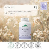 PROVITA NADH+ Forte - Capsules véganes: biodisponibilité optimisée pour l'énergie naturelle.