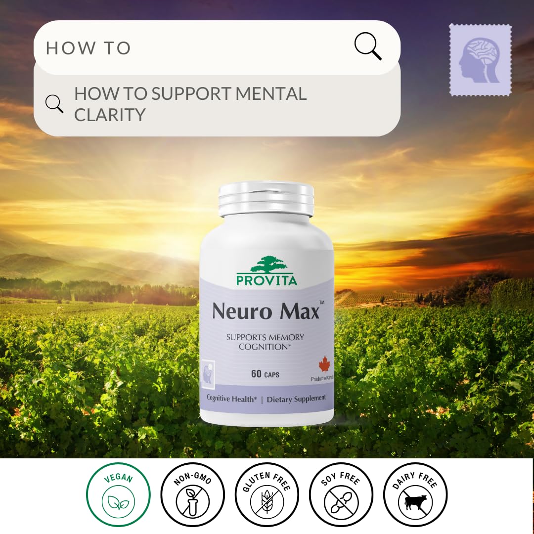 PROVITA Neuro Max: capsules visibles, format pratique pour la concentration.