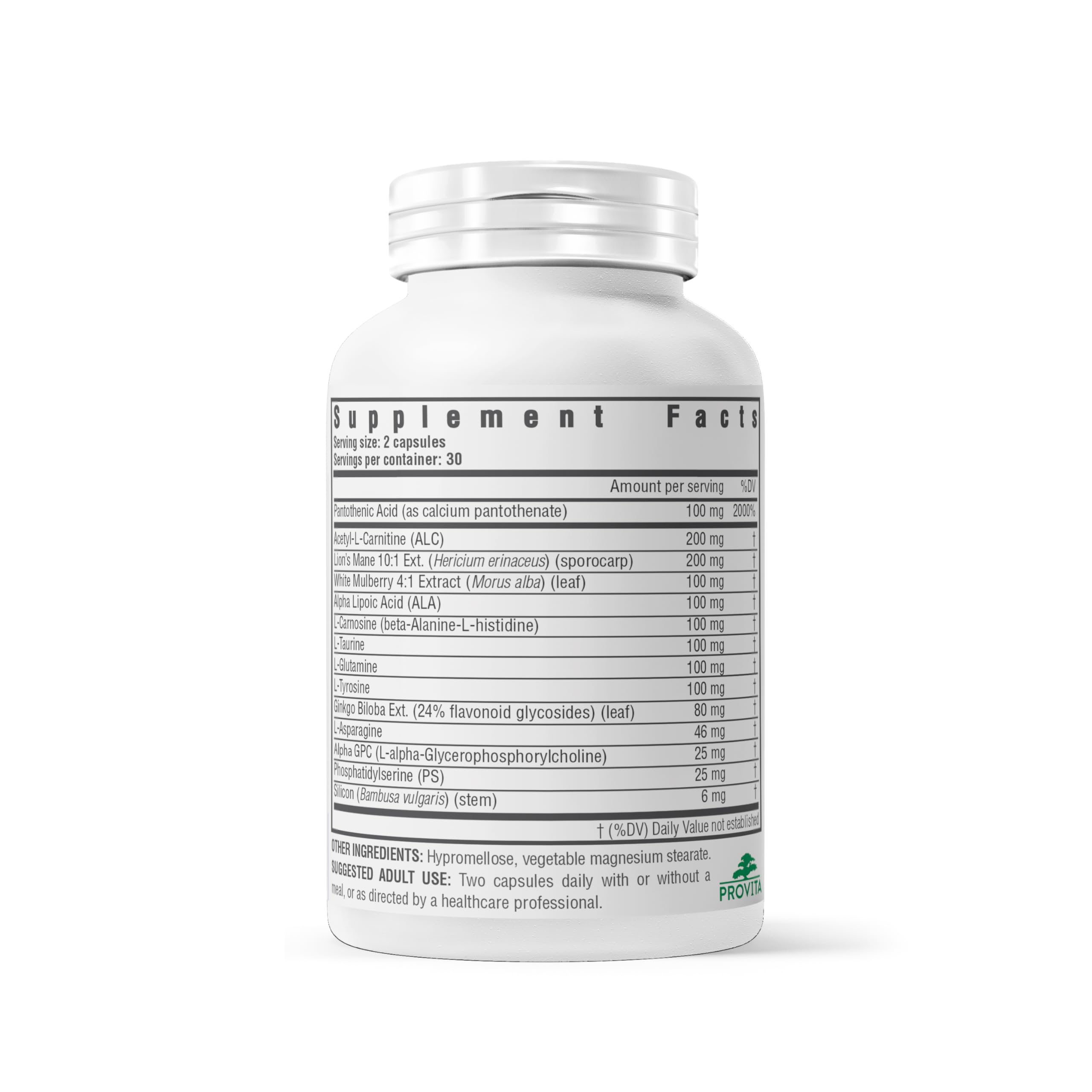 PROVITA Neuro Max: ingrédients clés comme L-Carnitine et Ginkgo pour la clarté.