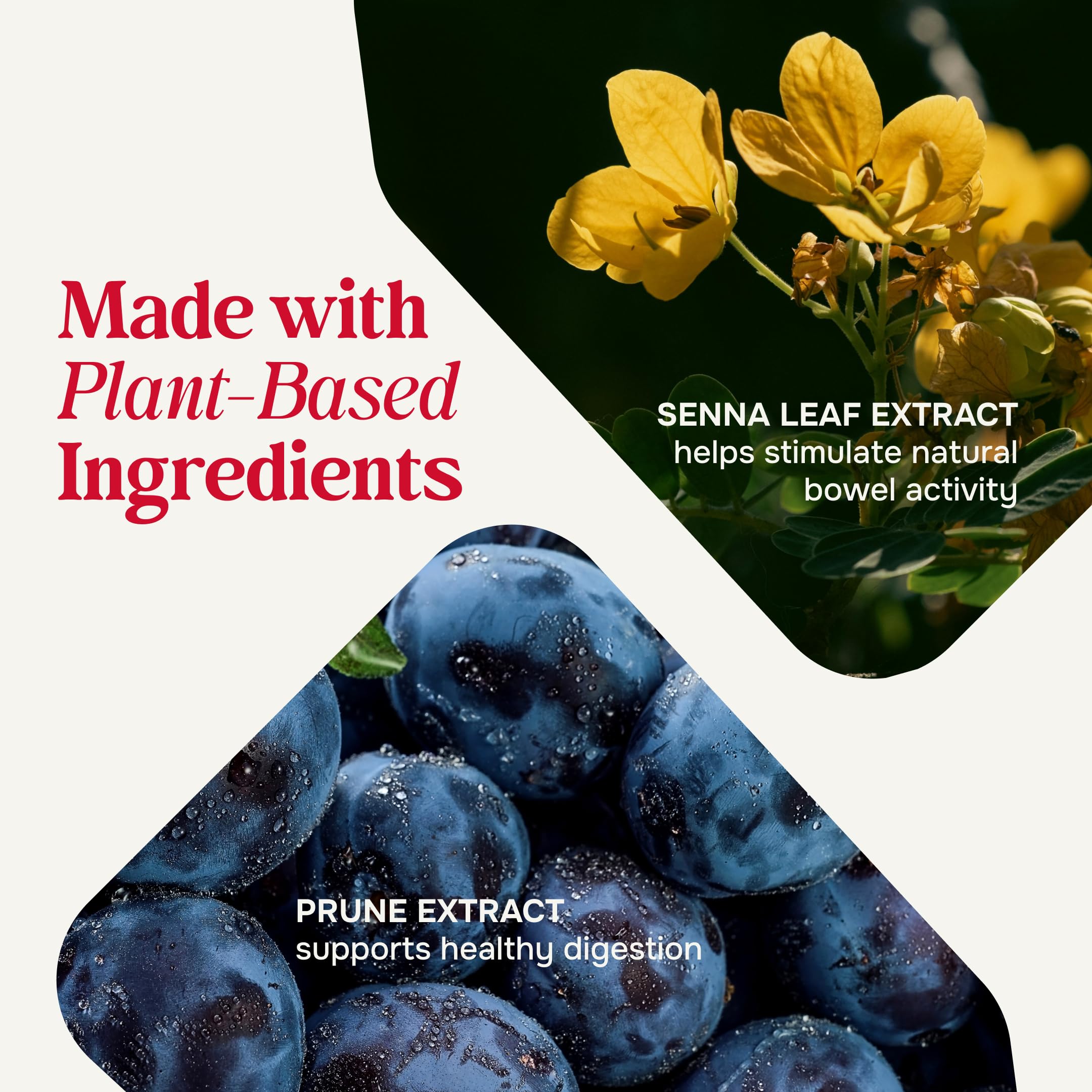 Prunelax Ciruelax, ritualisez votre soirée grâce à une infusion apaisante.