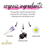 Pukka Nuit Nocturne Infusion BIO, engagement éthique et pureté des ingrédients.