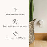Recharge Senteur Éclat de Canneberge pour Pura 4, fragrance lumineuse