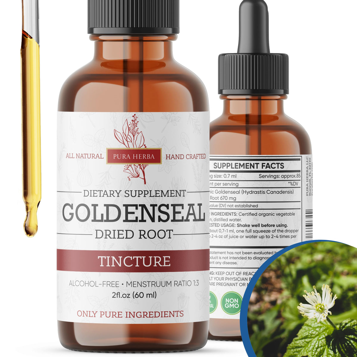 Pura Herba Goldenseal en bouteille avec pipette, dosage facile dans eau ou jus.