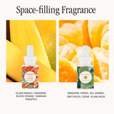Boîte carrée Pura 4 prête à offrir un espace parfumé dans votre pièce.
