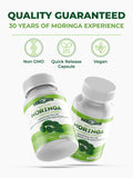 PURA VIDA MORINGA: origine américaine, traçabilité et qualité visibles.