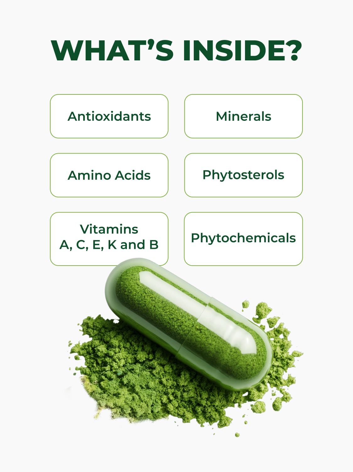 PURA VIDA MORINGA: processus en atelier, fabrication locale et contrôle rigoureux.