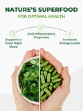 PURA VIDA MORINGA: utilisation quotidienne, complément pratique à intégrer à votre routine.