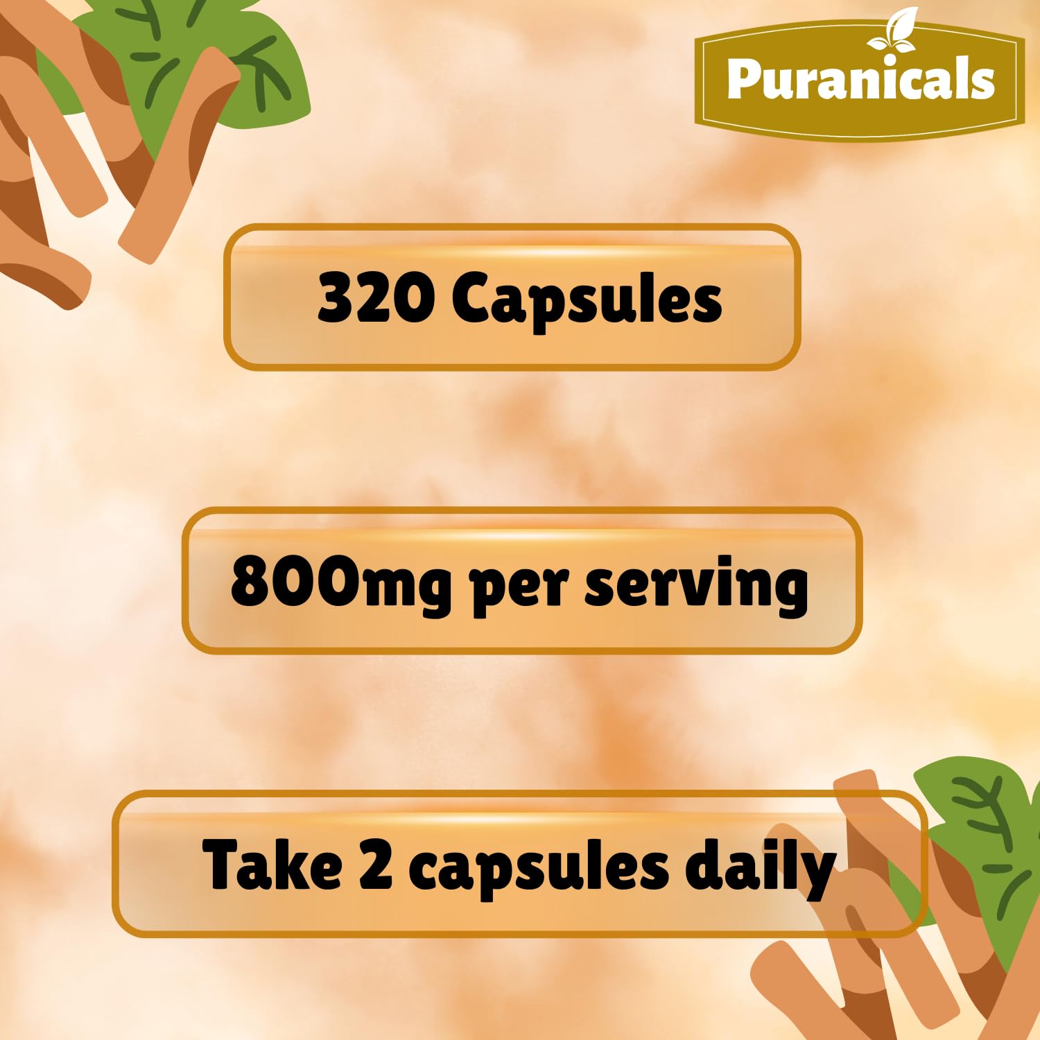 Puranicals Ashwagandha Premium, arôme terreux et naturel.