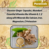 Puranicals gingembre dosage quotidien - deux capsules faciles à prendre