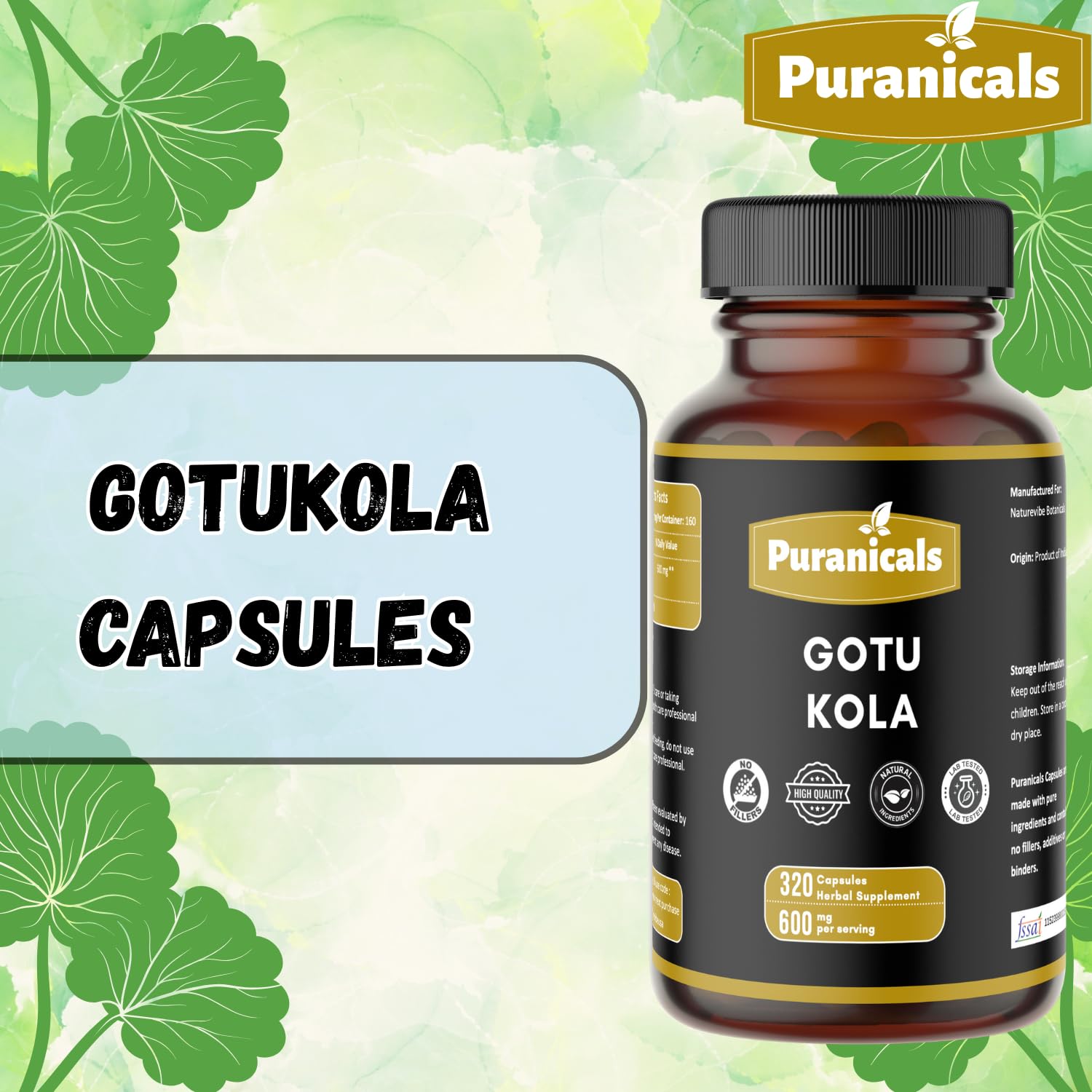 Capsules Gotu Kola, dosage à 600 mg par portion, pratique au quotidien.