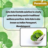 Flacon Puranicals Gotu Kola vu de face, présentation claire et professionnelle.