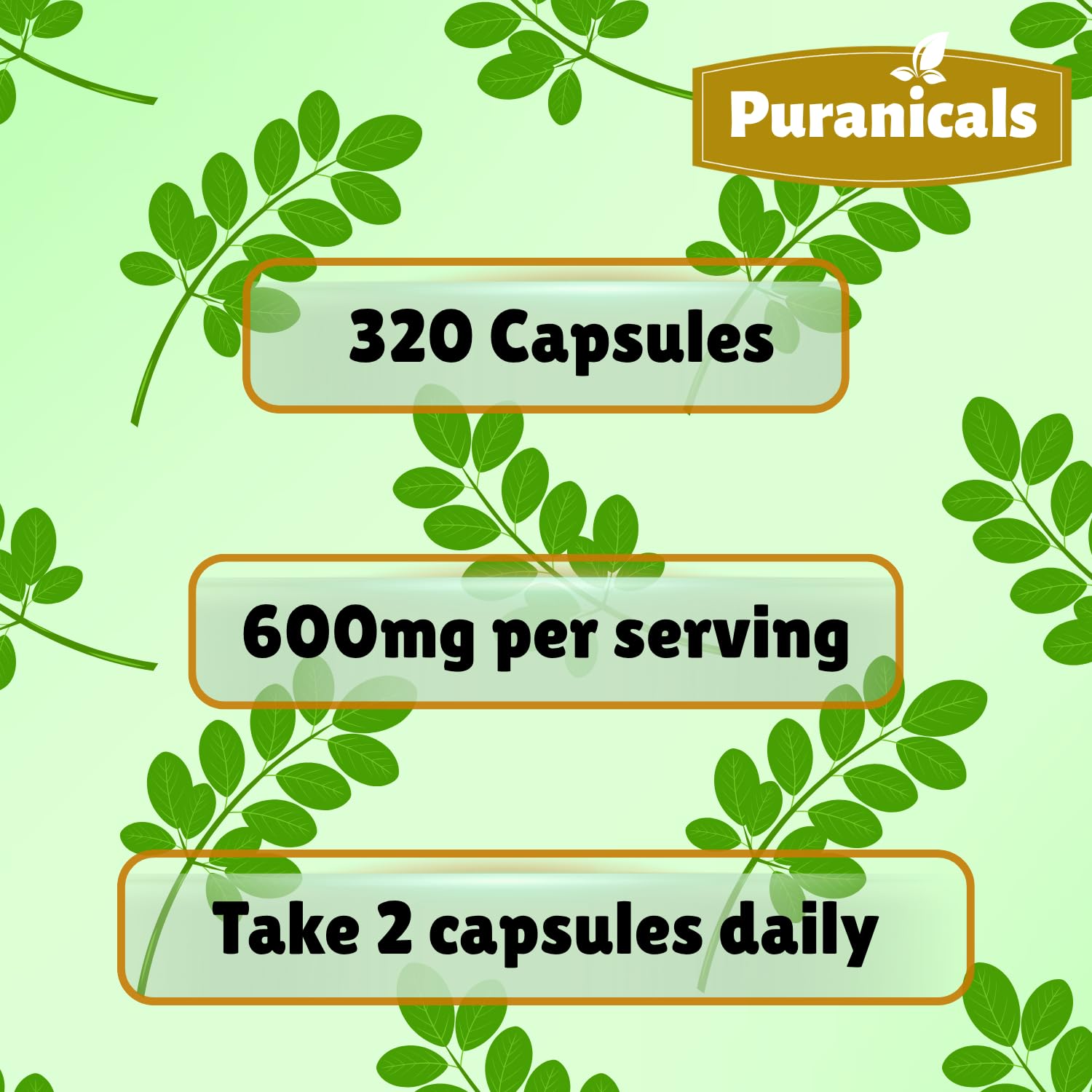 Puranicals Moringa Premium – Bocal compact et pratique pour le rangement.