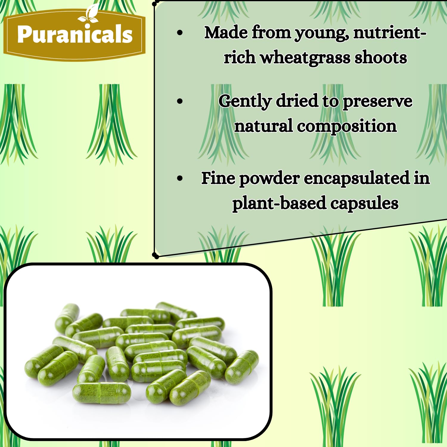 Emballage scellé Puranicals Wheatgrass Premium pour préserver la fraîcheur.