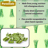 Emballage scellé Puranicals Wheatgrass Premium pour préserver la fraîcheur.