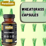 Puranicals Wheatgrass Premium : poudre d'herbe de blé pour l'apport nutritionnel.