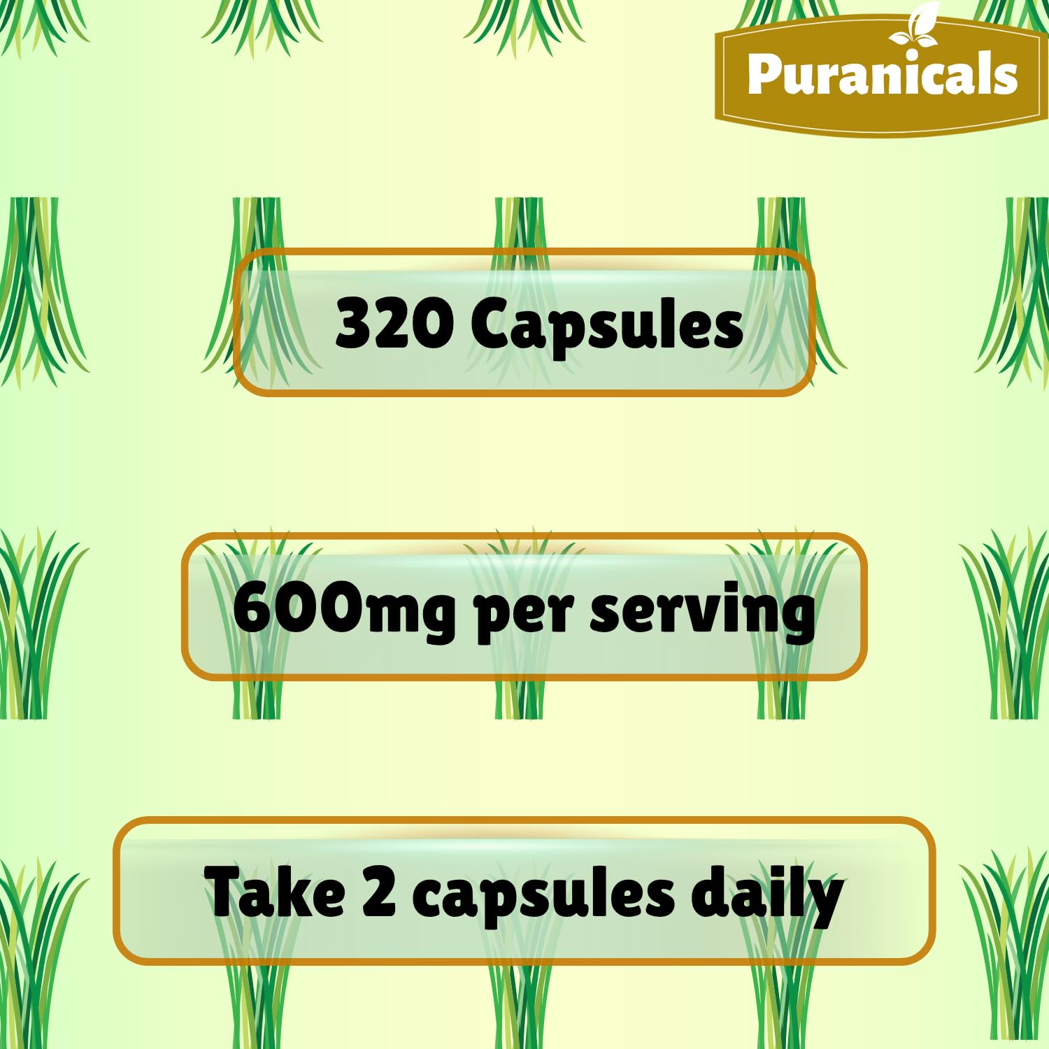 Capsules faciles à avaler pour un apport végétal avec Puranicals.