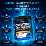PURA WEX NUTRITION – liste d'ingrédients, créatine et BCAA