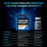 PURA WEX NUTRITION – gommes saveur myrtille, prêt à consommer avant l'entraînement