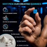 PURA WEX NUTRITION – option végan sans sucre, choix sain