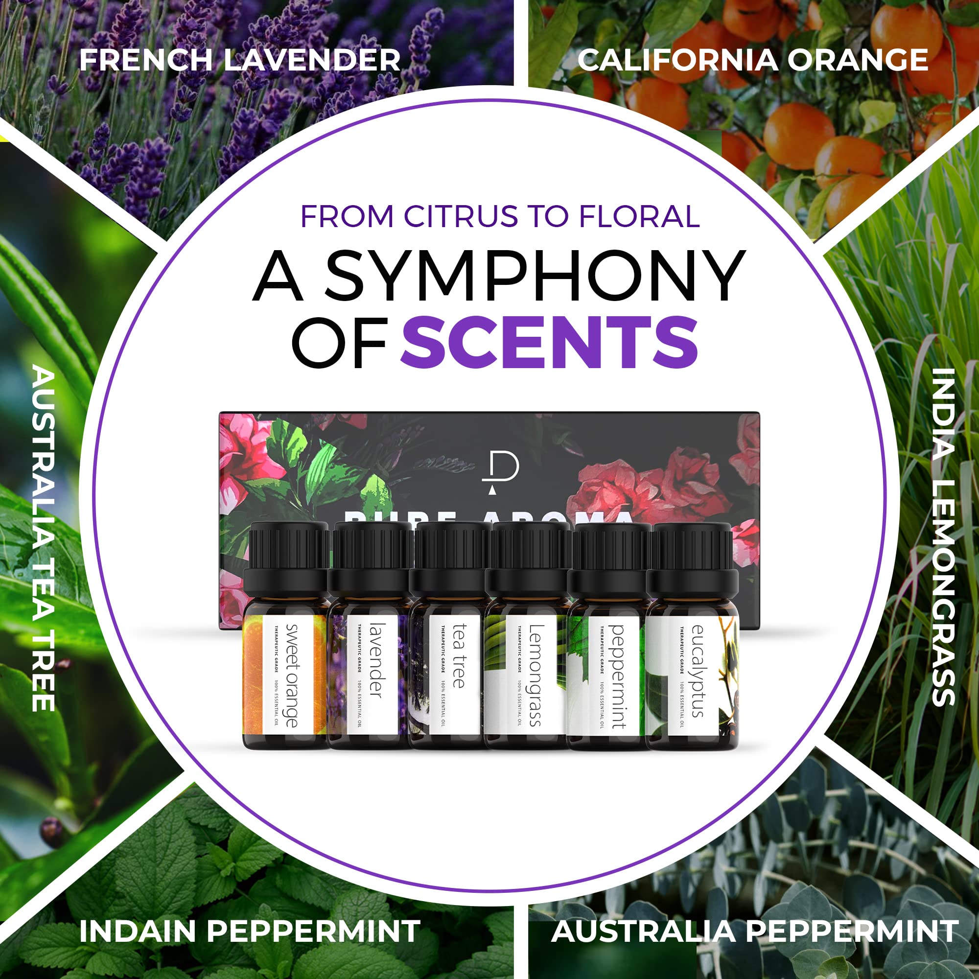 Pure Aroma Orange Douce – énergie, parfum fruité, bouteille 10 ml.