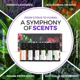 Pure Aroma Orange Douce – énergie, parfum fruité, bouteille 10 ml.