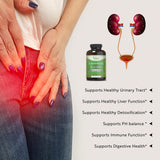 Capsule d-mannose Pure By Nature - mélange canneberge et pissenlit, formulation pratique.